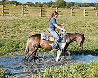 jumper-paint-pony