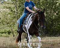 lesson-paint-pony