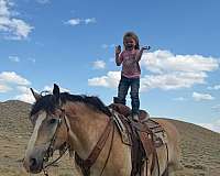 cross-draft-horse
