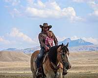 kid-safe-draft-horse