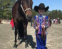 quarter-horse