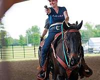 beginner-quarter-horse
