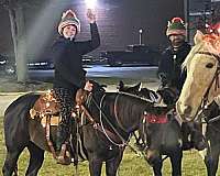 trained-quarter-horse