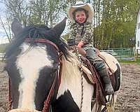 ranch-mare