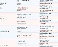 sorrel-all-around-double-registered-horse