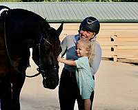showmanshi-horse