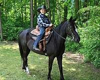 second-pony
