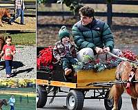 kid-safe-pony