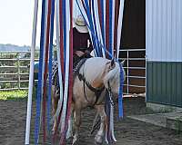 jumper-quarter-pony