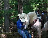 best-buddy-quarter-pony