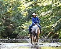 beginner-quarter-pony