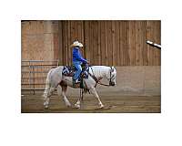 english-pleasure-quarter-pony