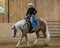 kid-safe-quarter-horse