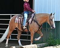 lesson-quarter-horse