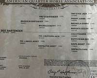 ranch-quarter-horse