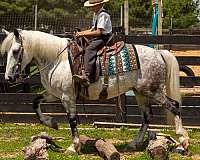 kid-safe-draft-horse