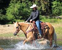 flashy-quarter-horse