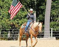 ranch-quarter-horse