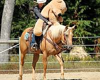 ranch-versatility-quarter-horse