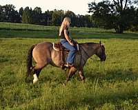 cross-draft-horse