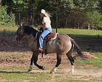 kid-safe-draft-horse