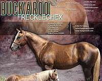 cutting-quarter-horse