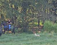 husband-safe-horse-kentucky-mountain