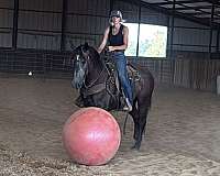 ranch-versatility-draft-horse