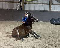 kid-safe-mule