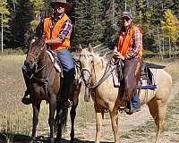 ranch-versatility-mare-foal