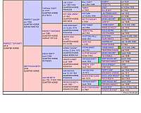 quarter-horse-mare