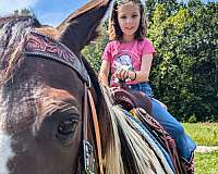 kids-friendly-horse
