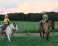 family-horse-quarter