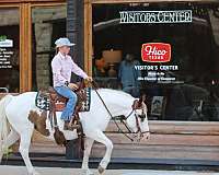 ranch-work-quarter-horse