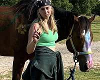 adult-thoroughbred-horse
