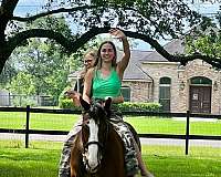 beginner-safe-kid-pony-thoroughbred-horse