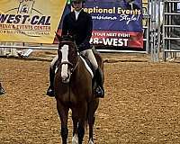 daughter-thoroughbred-horse