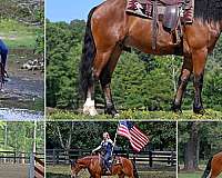kid-safe-draft-horse
