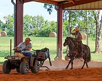blue-roan-ridden-we-horse