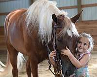 family-horse-tennessee-walking