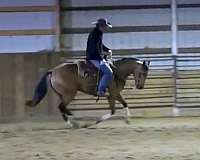 live-outside-quarter-pony