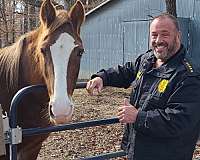 chocolate-lower-lip-horse