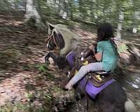 10-hand-mare