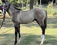 all-weanling