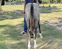 break-weanling