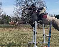 stripe-sock-horse