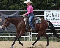 cowboy-mounted-shooting-quarter-horse