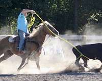 barrel-racing-quarter-horse