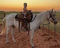 ranch-work-pony-poa-pony