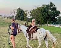 pony-for-sale